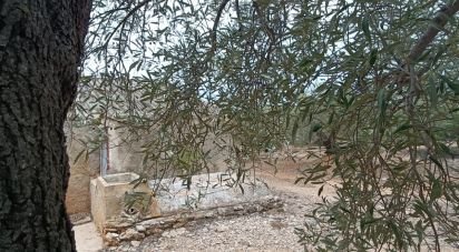 Land of 26,283 m² in L'Ampolla (43895)