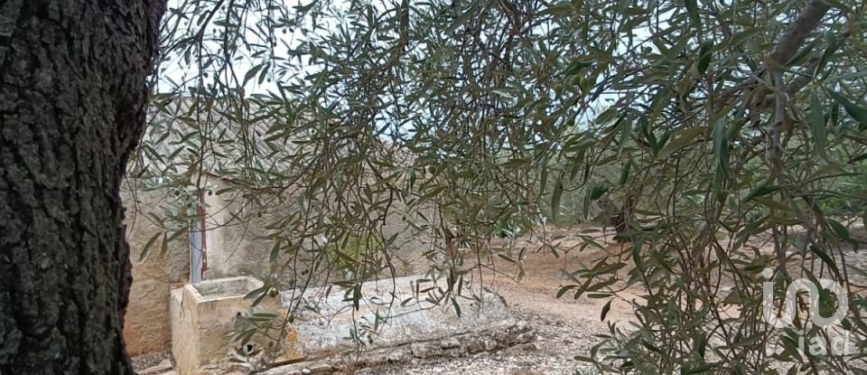 Land of 26,283 m² in L'Ampolla (43895)