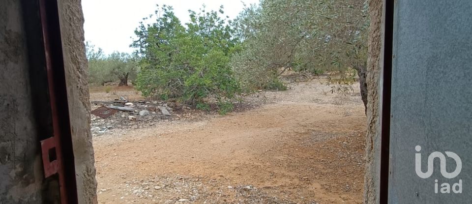 Land of 26,283 m² in L'Ampolla (43895)