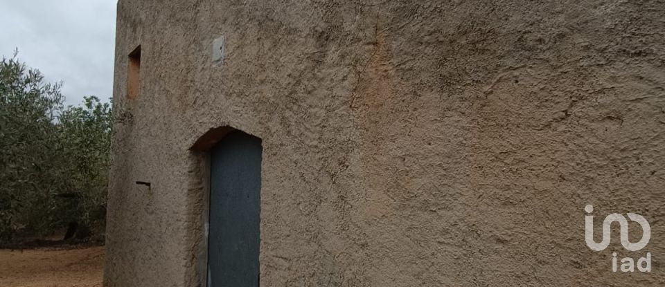 Land of 26,283 m² in L'Ampolla (43895)