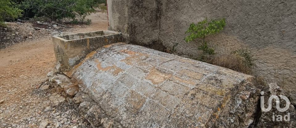 Land of 26,283 m² in L'Ampolla (43895)