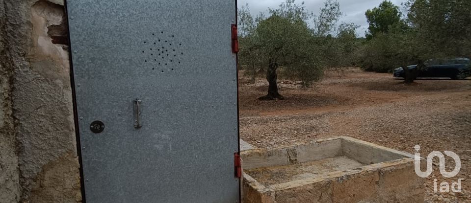 Land of 26,283 m² in L'Ampolla (43895)