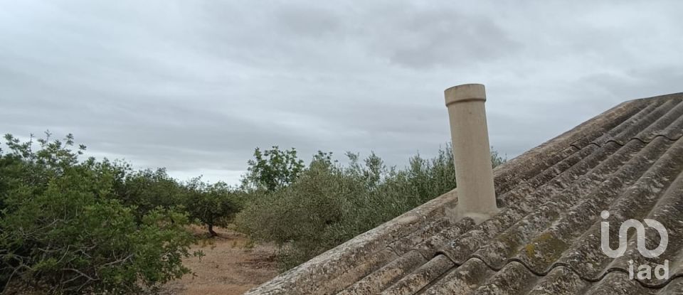 Land of 26,283 m² in L'Ampolla (43895)