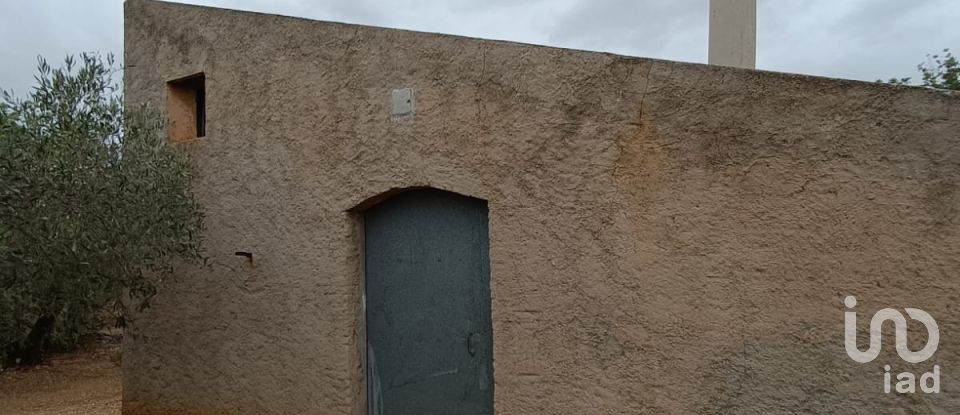 Land of 26,283 m² in L'Ampolla (43895)