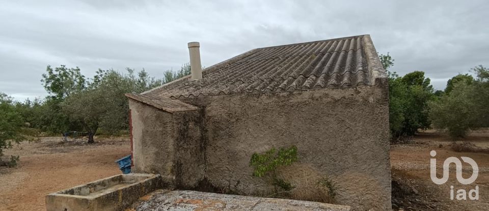 Land of 26,283 m² in L'Ampolla (43895)