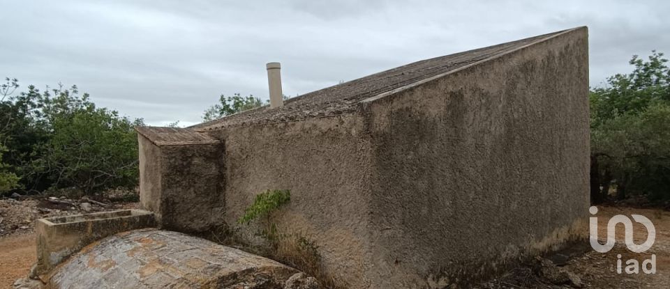 Land of 26,283 m² in L'Ampolla (43895)