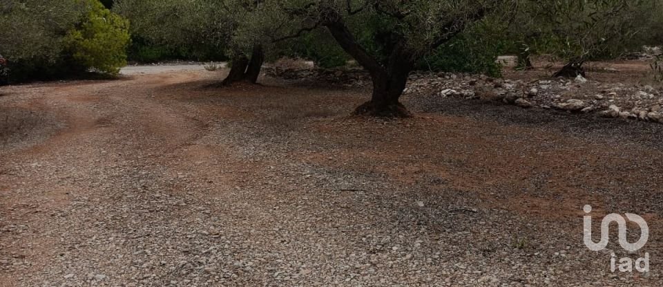 Land of 26,283 m² in L'Ampolla (43895)