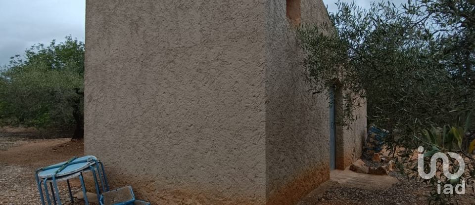 Land of 26,283 m² in L'Ampolla (43895)