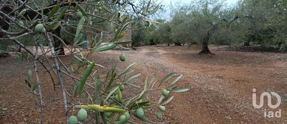 Land of 26,283 m² in L'Ampolla (43895)