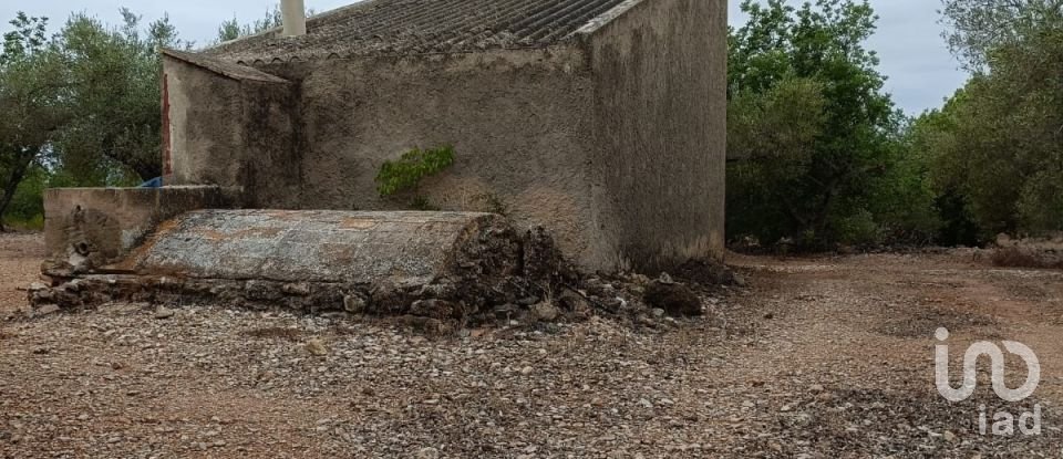 Land of 26,283 m² in L'Ampolla (43895)