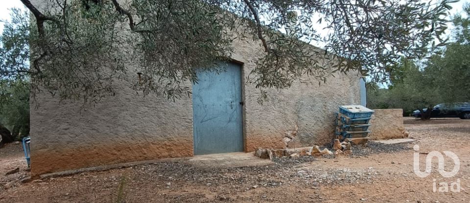 Land of 26,283 m² in L'Ampolla (43895)