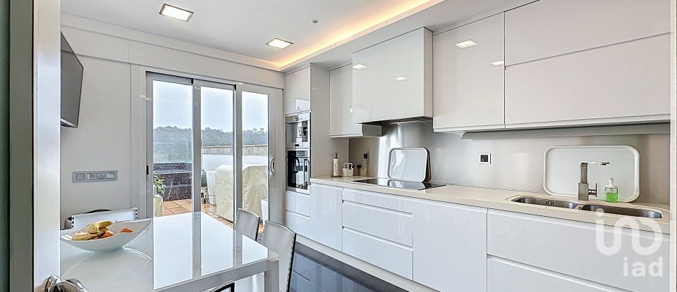 Châlet 5 chambres de 300 m² à Balea (36988)