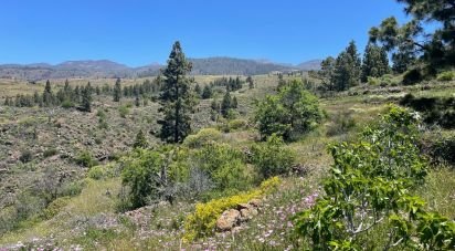 Terreny de a La Quinta (38677)