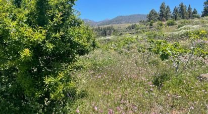 Land of  in La Quinta (38677)