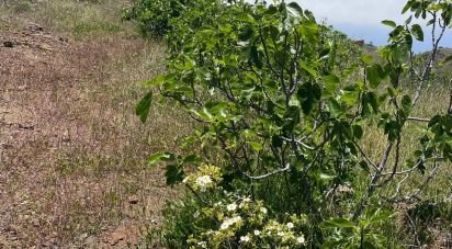 Land of  in La Quinta (38677)