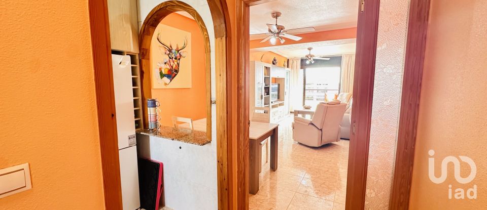 Piso 2 habitaciones de 82 m² en Guardamar del Segura (03140)