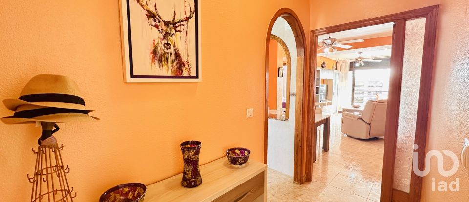 Piso 2 habitaciones de 82 m² en Guardamar del Segura (03140)