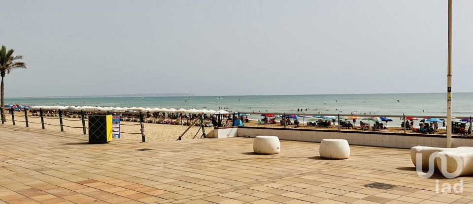 Piso 2 habitaciones de 82 m² en Guardamar del Segura (03140)