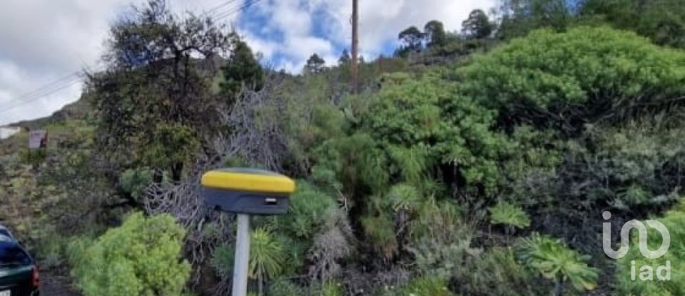 Terreny de 1.001 m² a Tamaimo (38684)