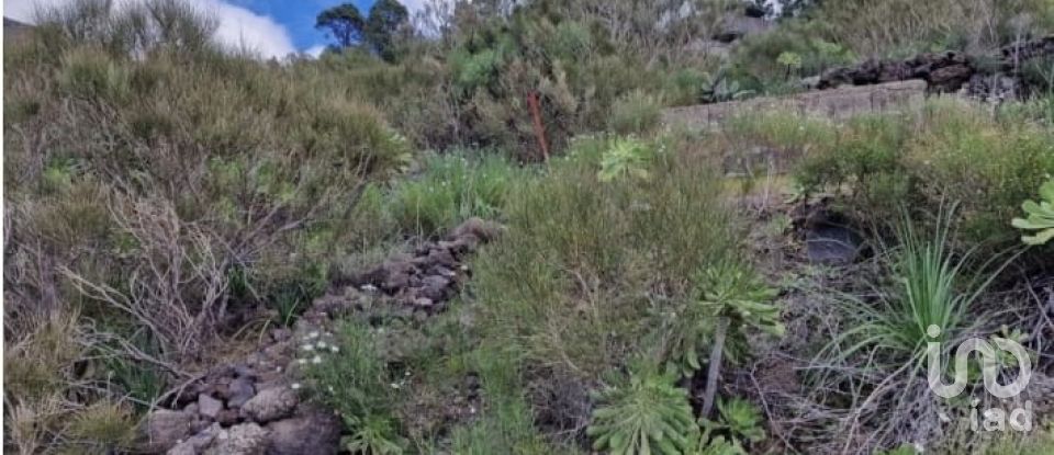 Terreny de 1.001 m² a Tamaimo (38684)