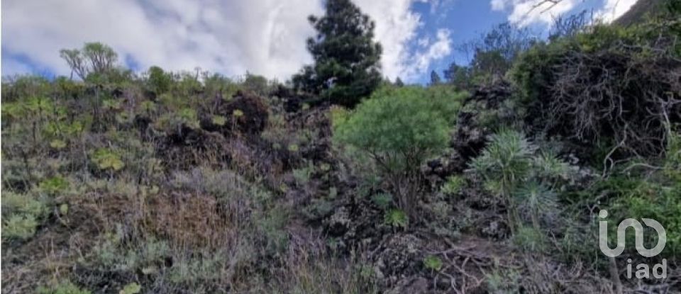 Terreny de 1.001 m² a Tamaimo (38684)