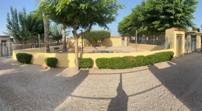 Châlet 1 chambre de 98 m² à Elx/Elche (03294)
