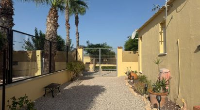 Châlet 1 chambre de 98 m² à Elx/Elche (03294)