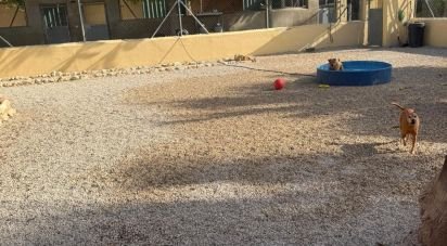 Chalet 1 habitación de 98 m² en Elx/Elche (03294)