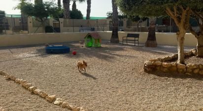 Casa de muntanya 1 habitació de 98 m² a Elx/Elche (03294)