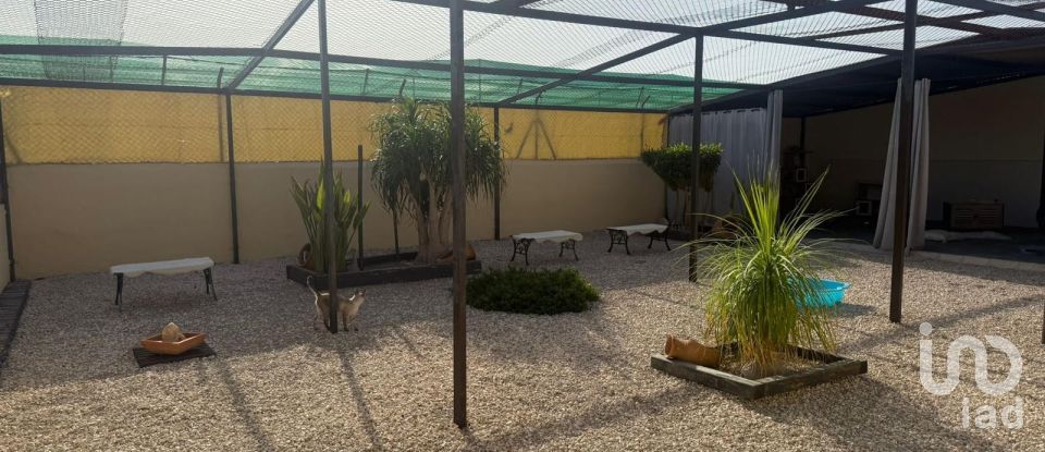 Chalet 1 habitación de 98 m² en Elx/Elche (03294)