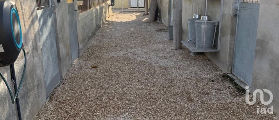 Chalet 1 habitación de 98 m² en Elx/Elche (03294)