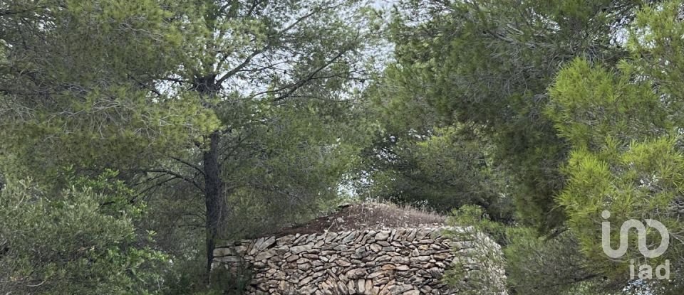 Terreno de 100.000 m² en Torredembarra (43830)