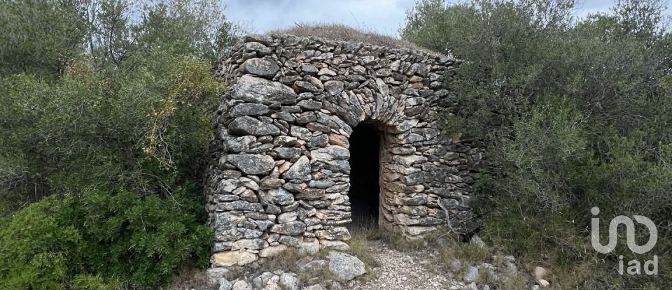 Terreno de 100.000 m² en Torredembarra (43830)