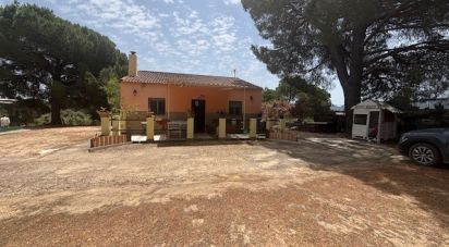 Land of 13,685 m² in Villanueva de los Castillejos (21540)