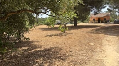 Land of 13,685 m² in Villanueva de los Castillejos (21540)