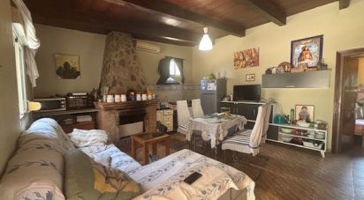 Land of 13,685 m² in Villanueva de los Castillejos (21540)