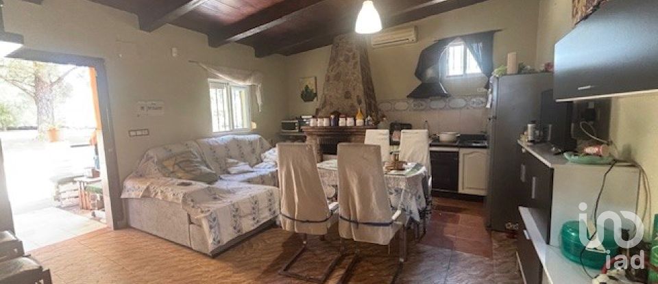 Terreno de 13.685 m² en Villanueva de los Castillejos (21540)