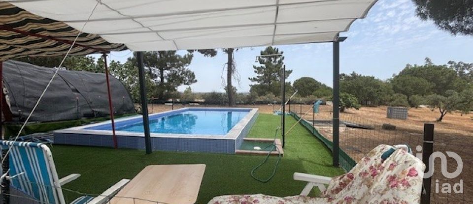 Terreno de 13.685 m² en Villanueva de los Castillejos (21540)