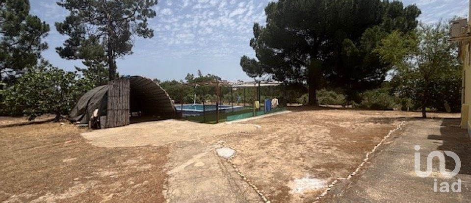 Terreno de 13.685 m² en Villanueva de los Castillejos (21540)