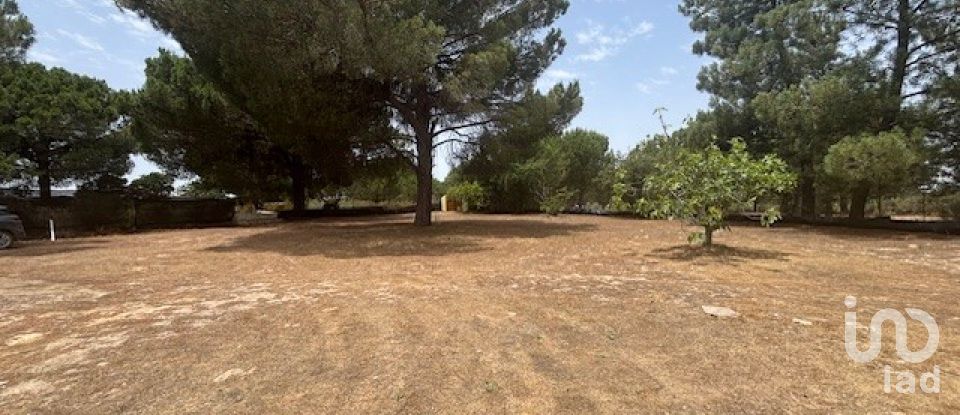 Terreno de 13.685 m² en Villanueva de los Castillejos (21540)