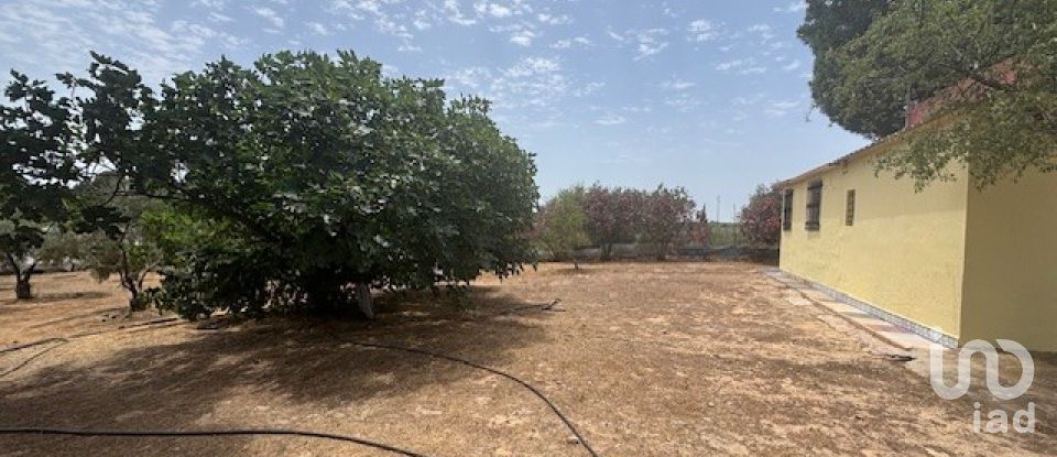 Terreno de 13.685 m² en Villanueva de los Castillejos (21540)