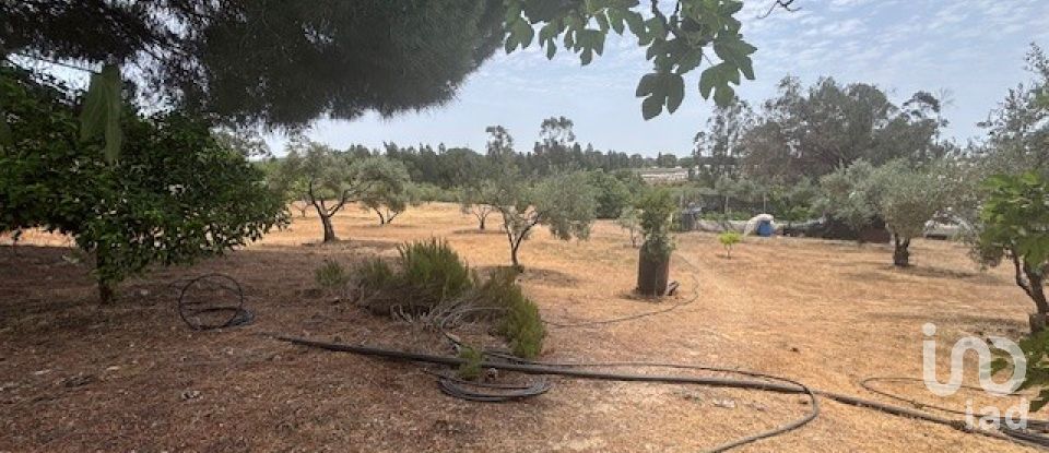 Terreno de 13.685 m² en Villanueva de los Castillejos (21540)