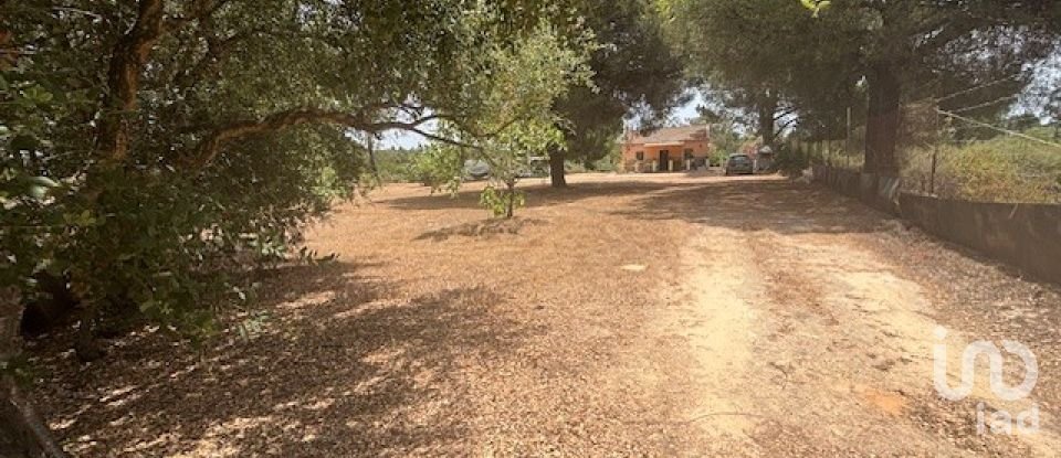 Terreno de 13.685 m² en Villanueva de los Castillejos (21540)