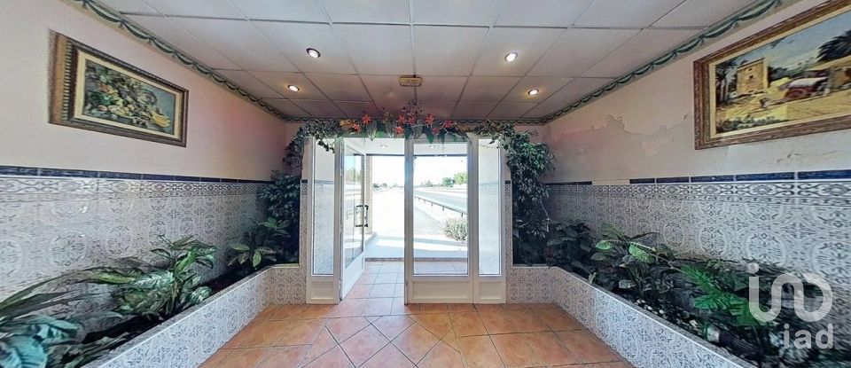 Botiga / Local comercial de 420 m² a Partida Daimes (03294)