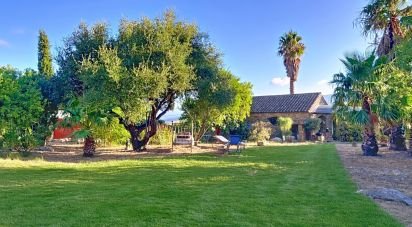 Gîte 3 chambres de 176 m² à Facinas (11391)