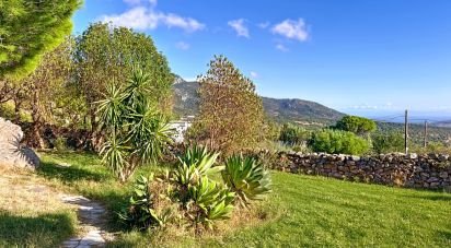 Gîte 3 chambres de 176 m² à Facinas (11391)