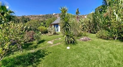 Gîte 3 chambres de 176 m² à Facinas (11391)