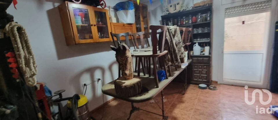 Maison 4 chambres de 190 m² à Camarles (43894)