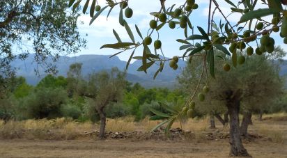 Farm 3 bedrooms of 77,362 m² in Tivissa (43746)