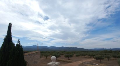 Farm 3 bedrooms of 77,362 m² in Tivissa (43746)